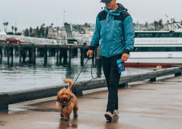 Pourquoi la bouteille chien est essentielle pour vos promenades